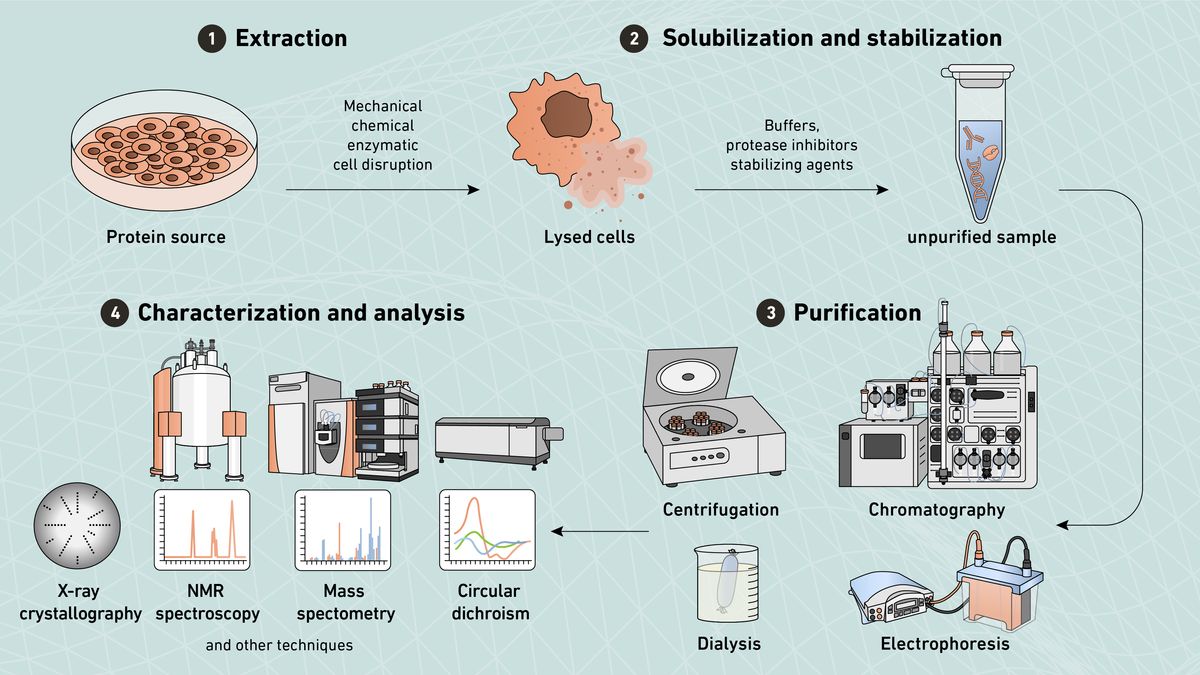 physical science lab equipment and protein analysis