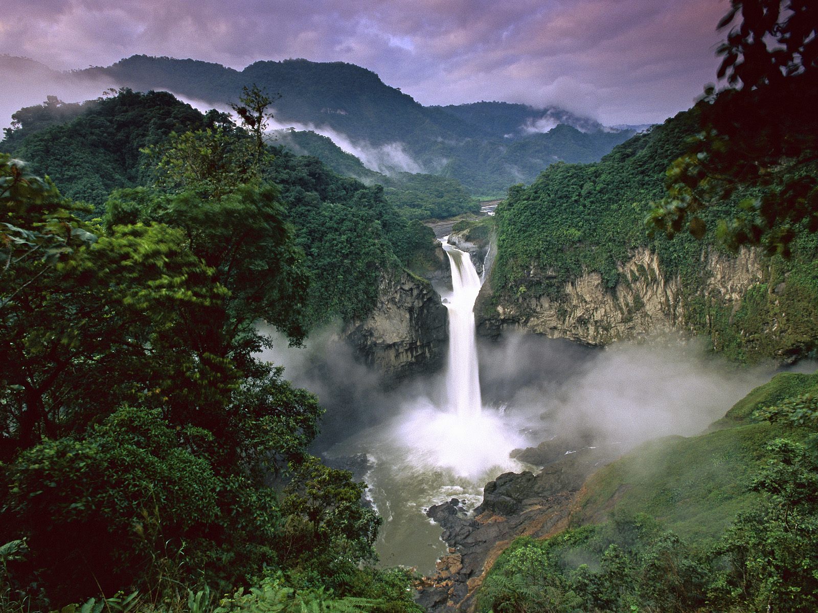 amazon rainforest scenery