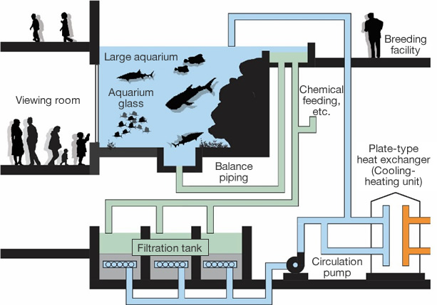 aquarium equipment and water treatment