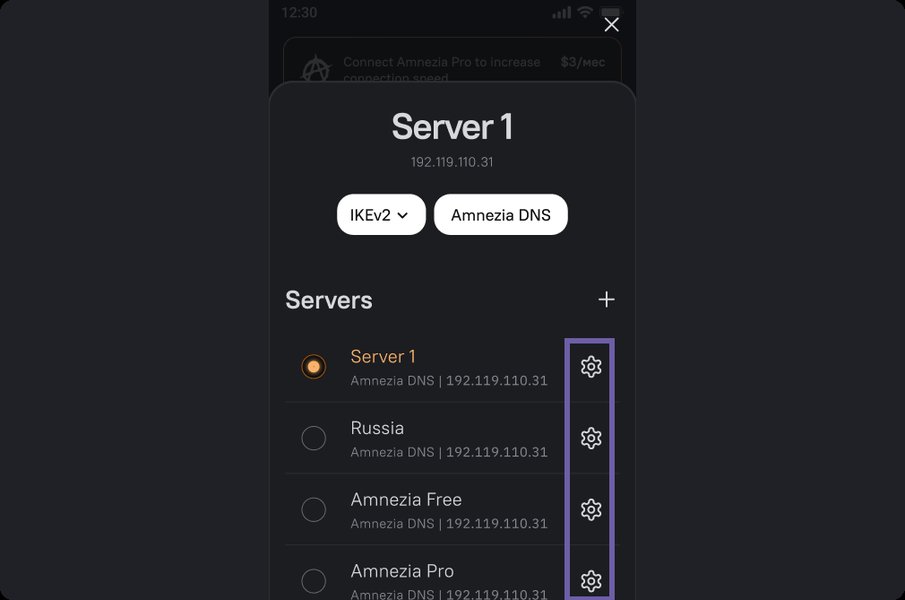 Amnezia application interface showing protocol selection options including AmneziaWG.
