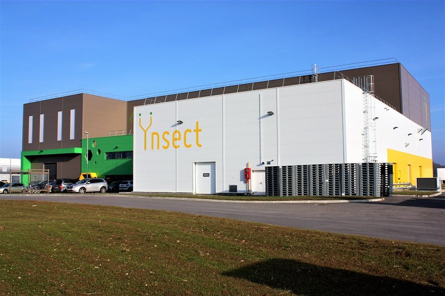 Intérieur d'une ferme verticale Ynsect