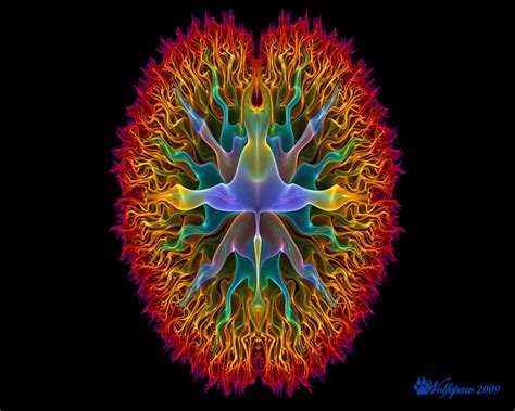 neural network fractal patterns