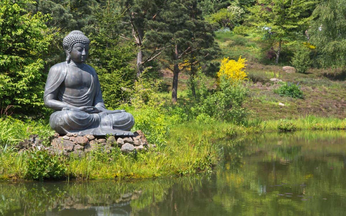 calm scenic landscape, natural elements, meditation space