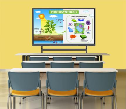 vibrant classroom interactive digital screen