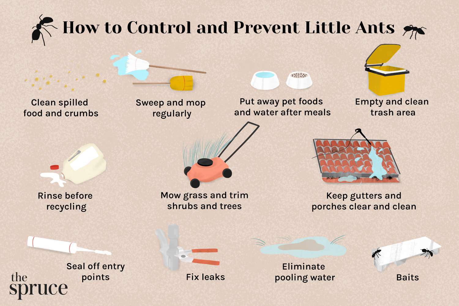 ant control tools and home cleaning