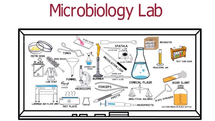 diverse laboratory equipment and bacterial cultures