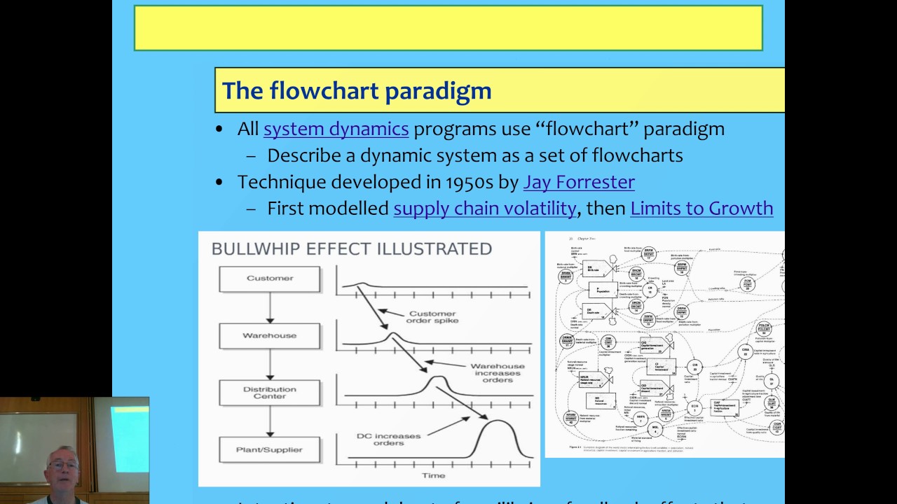 volatility and growth dynamic systems