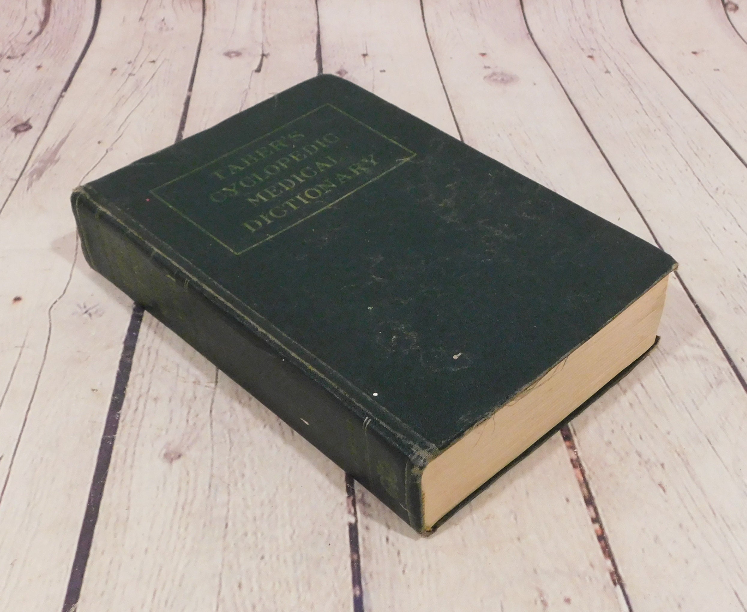 scenic view books dictionary