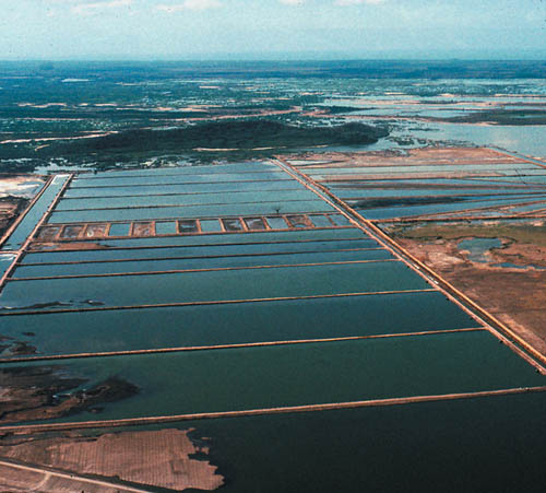 aquaculture coastal farm scenery