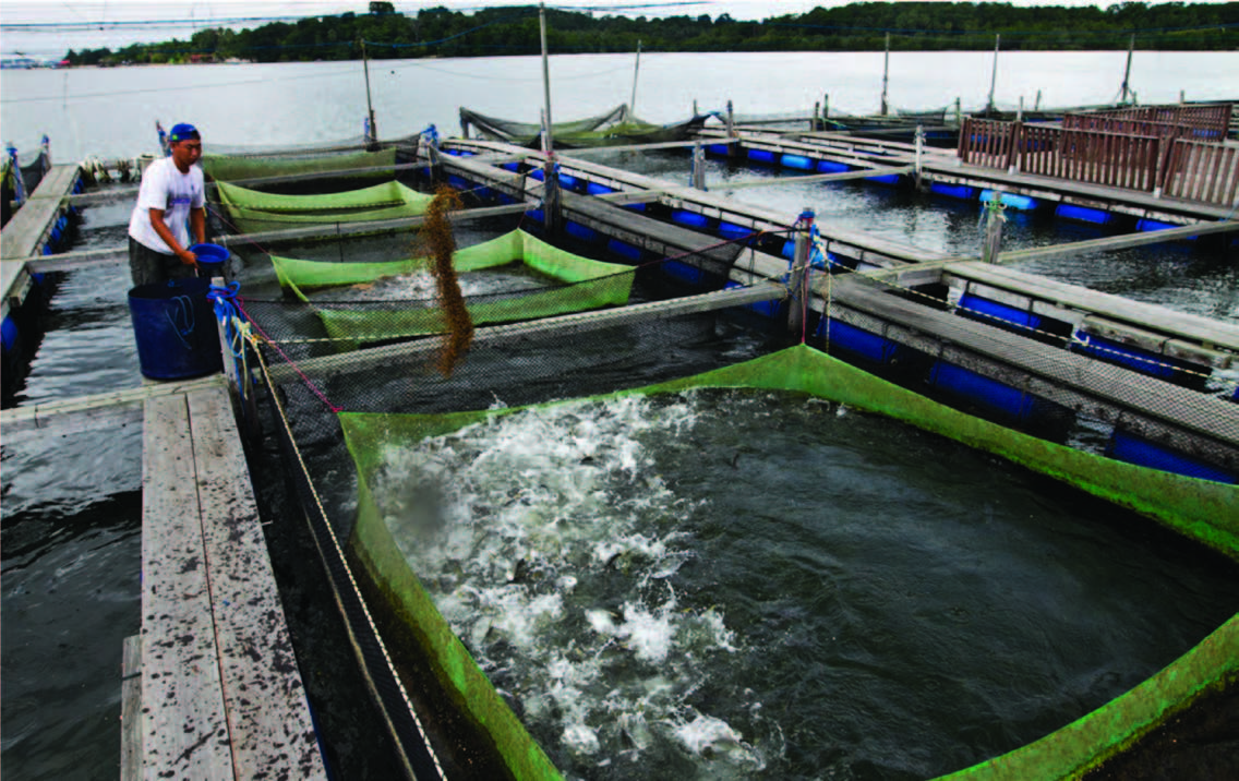 coastal farm and aquaculture technology
