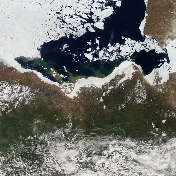 arctic-ocean-salinity-salt-brine-mlz7p3pk
