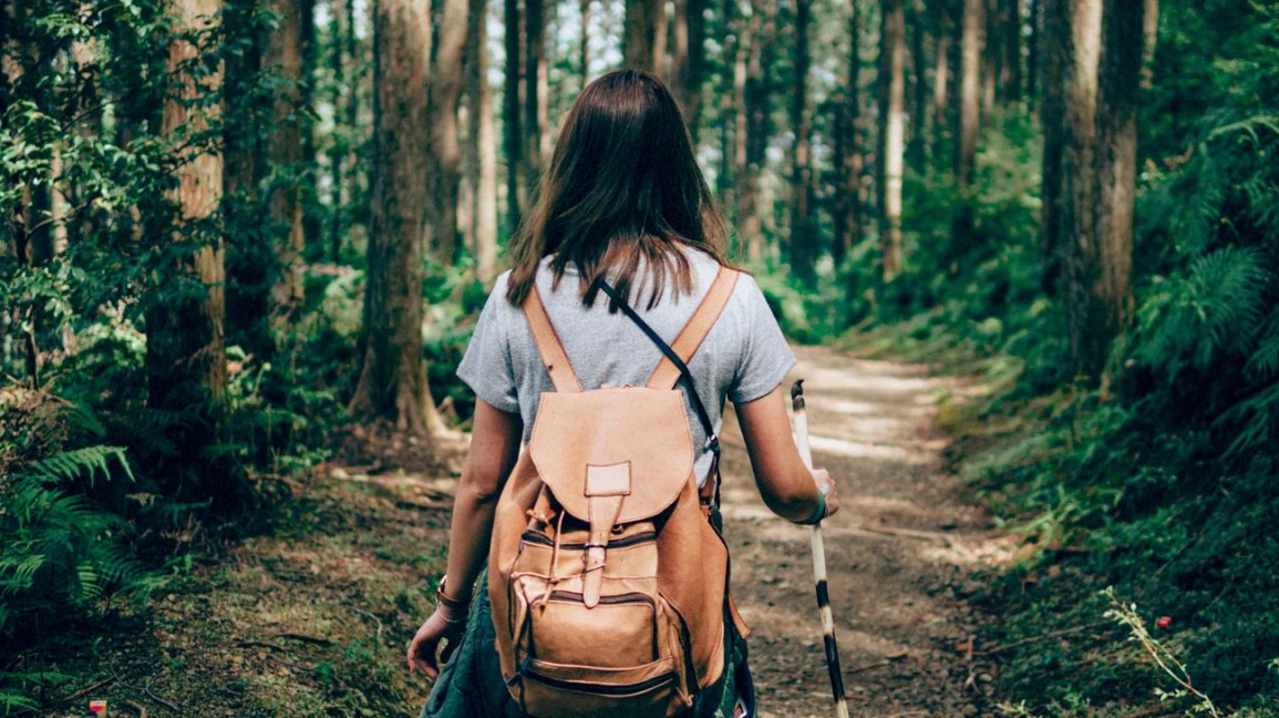 scenic natural healing products