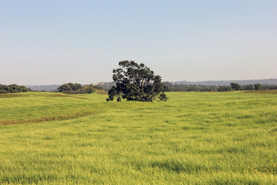 agricultural fields fertile scenery