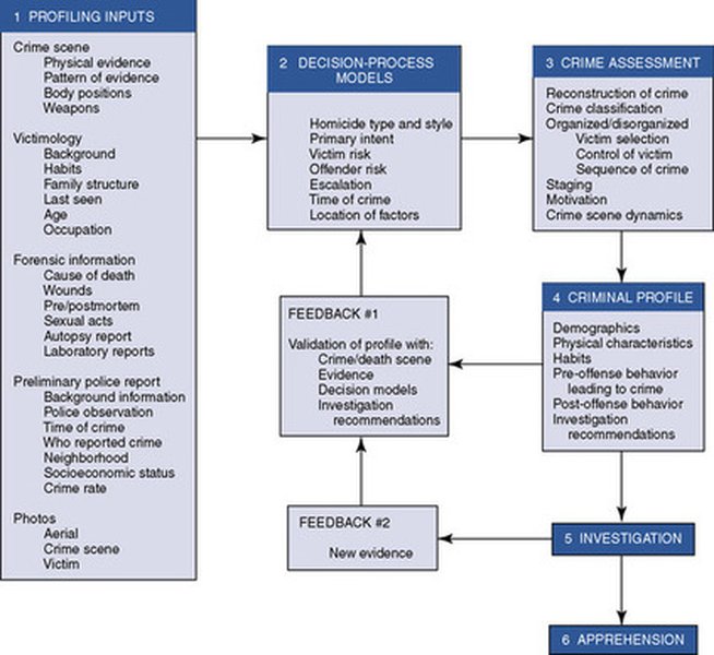 Ithy - Unmasking Criminal Profiling: Are Its Foundations Built on Solid ...