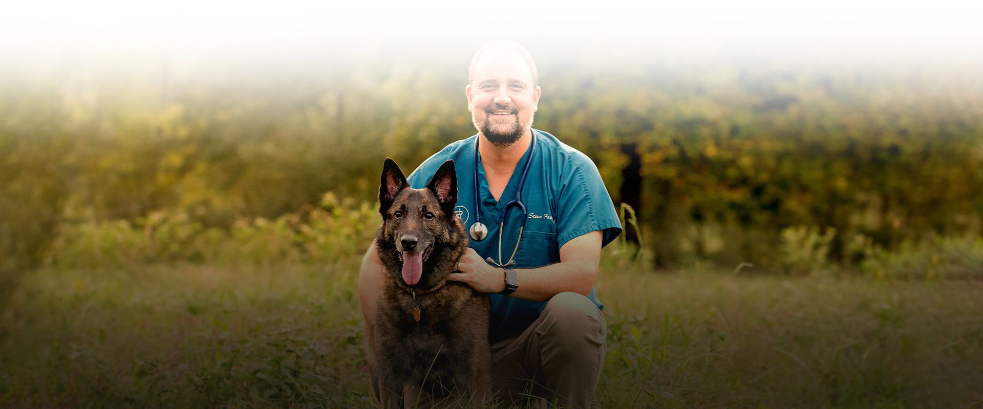 dog in nature veterinary clinic