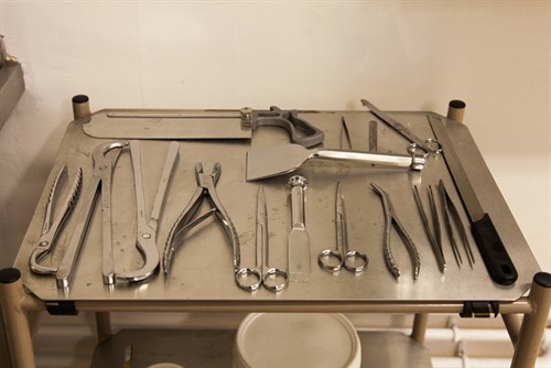 forensic autopsy examination tools