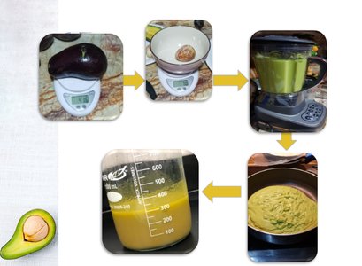 avocado oil biodiesel fuel production