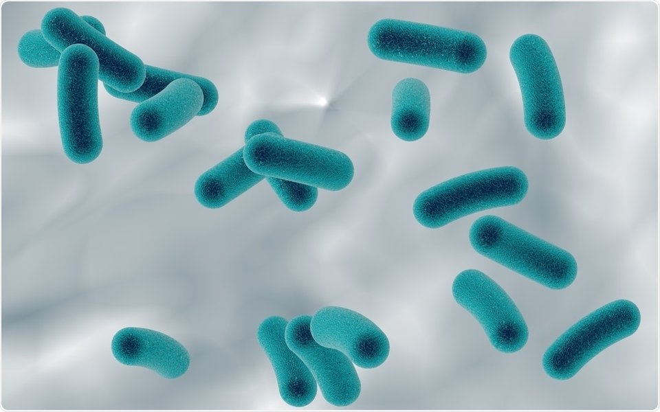 Microbial life including bacteria