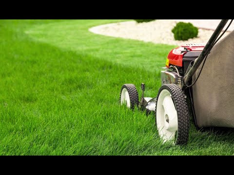 lawn mower in operation on a grassy field