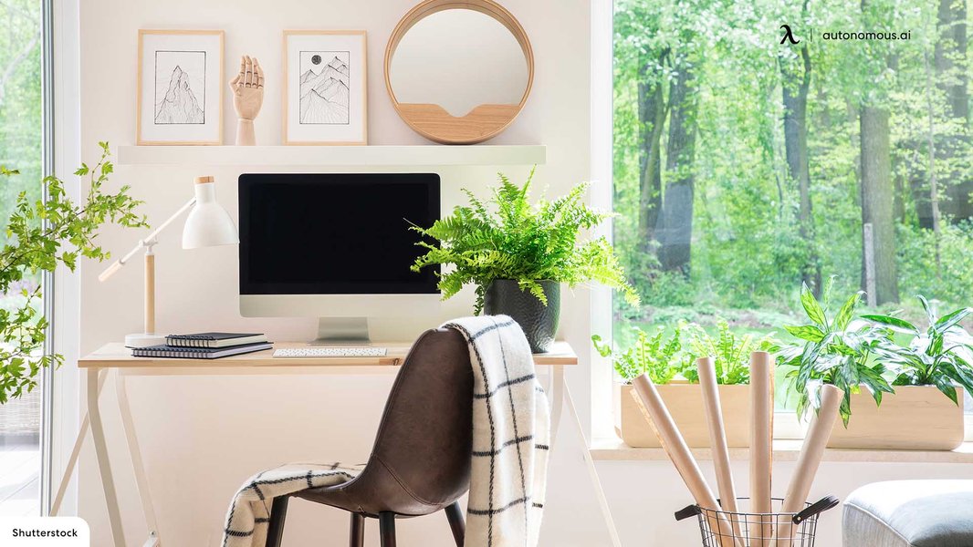 A desk with a plant, symbolizing biophilic design in an office setting.