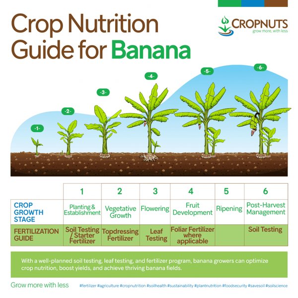 banana-nutrient-app-qa-guide-21ng9mq8