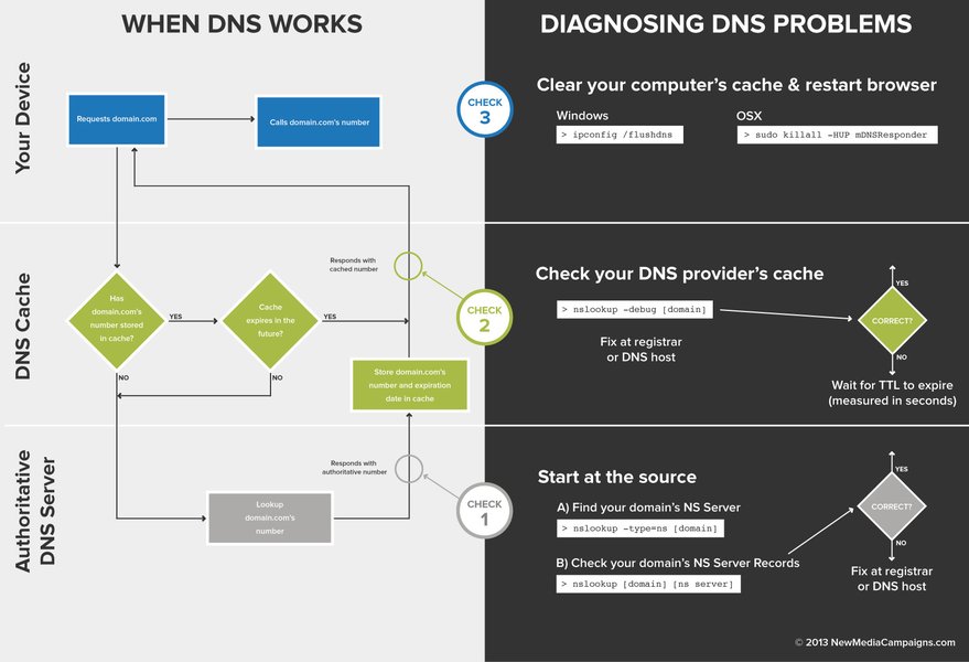 bash-script-dns-domain-availability-check-nii3t1t6