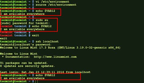 bash load environment variables