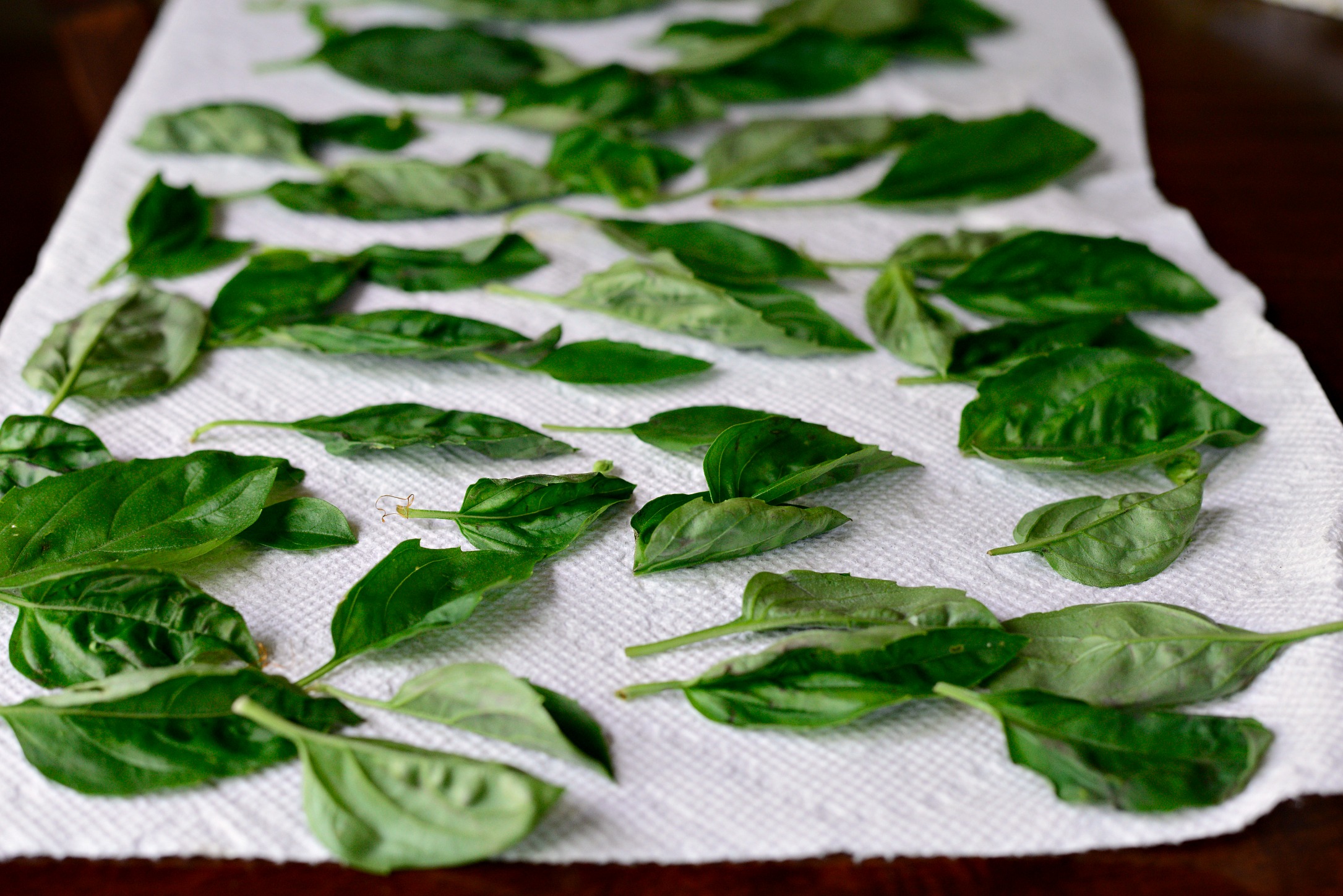fresh basil leaves and crispy chips