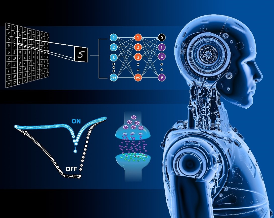 brain technology hardware