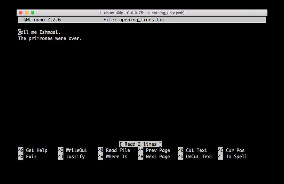 becoming-linux-guru-from-unix-nfxuw5g1