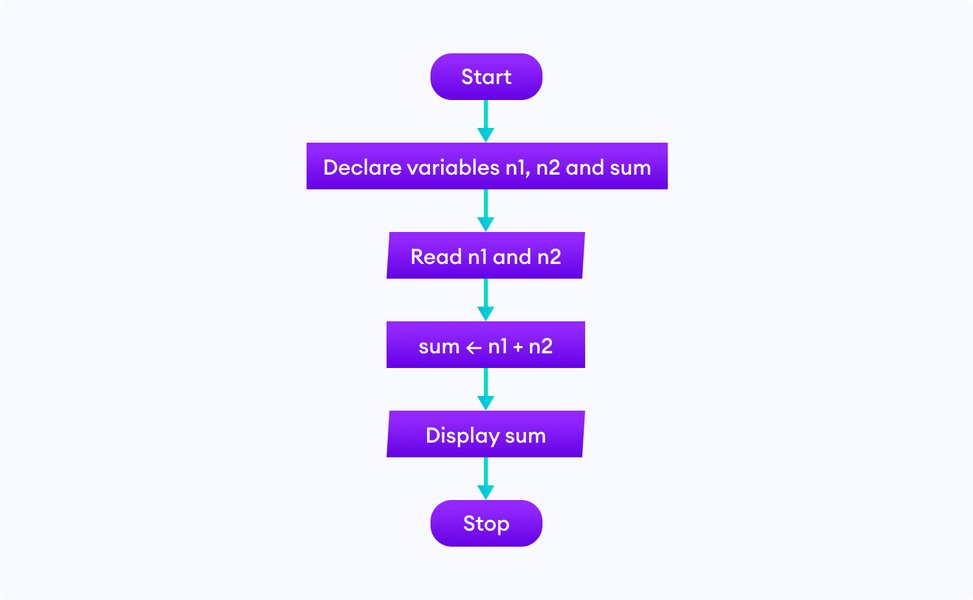 beginner-coding-automation-coursebook-s4jsybf4