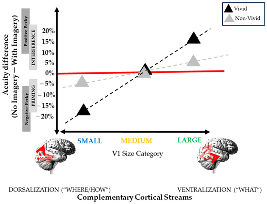 physical resonance concept and cognitive bias imagery