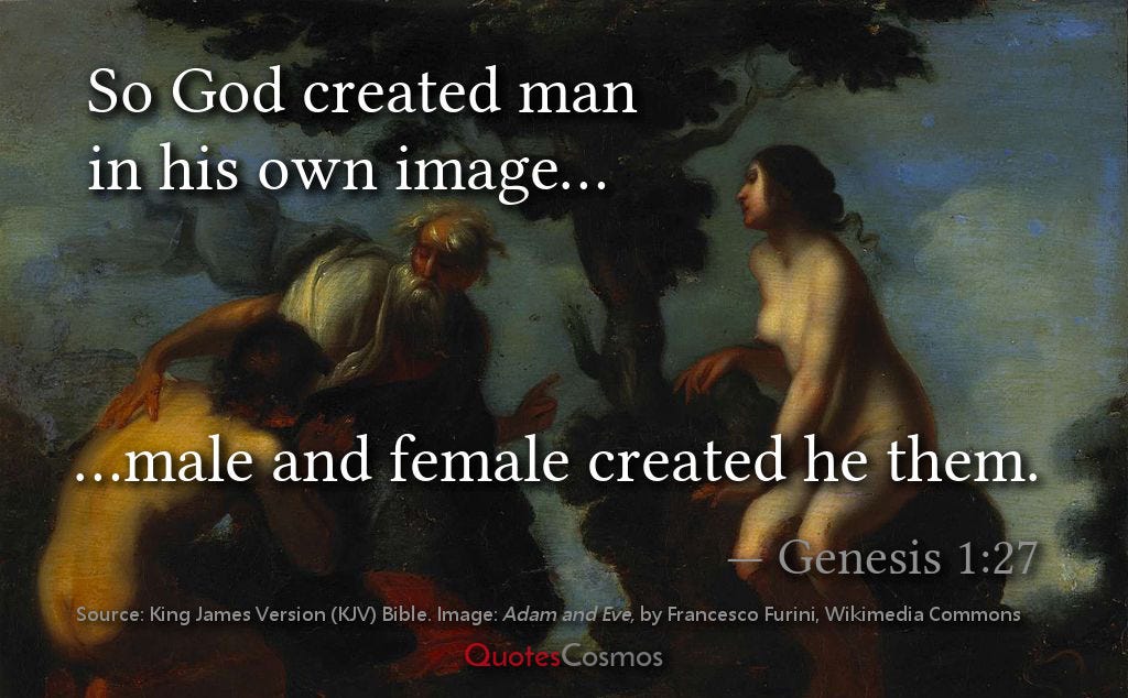 biblical creation of male and female