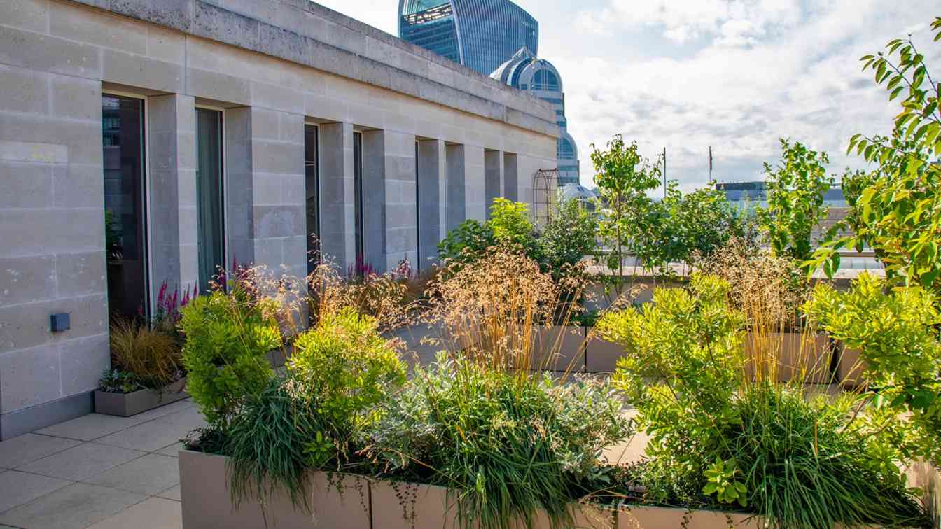 modern bank building and green landscapes