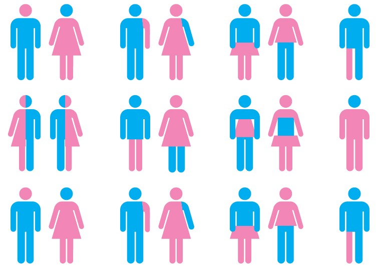 gender spectrum diversity