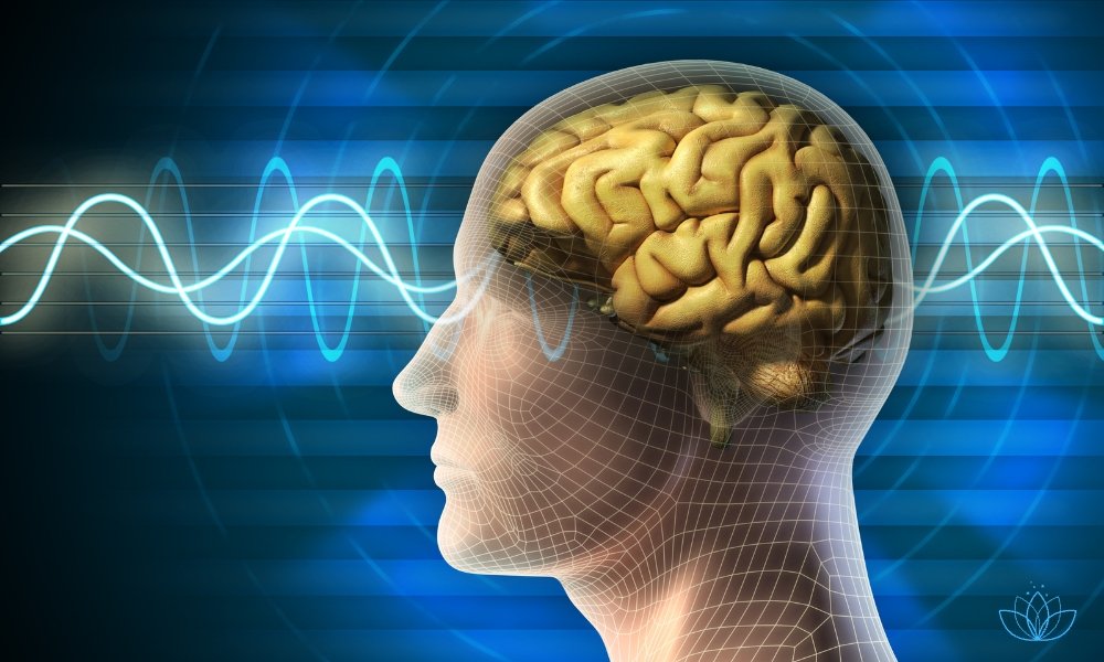 Achtsamkeit und Neurowissenschaft