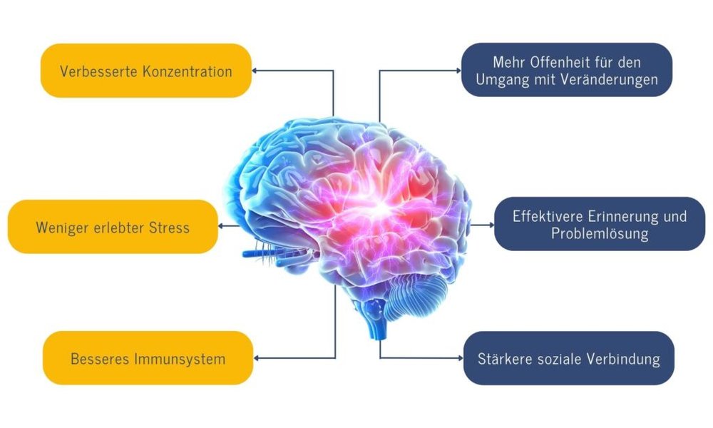 binding-and-mindfulness-brain-changes-da223uab