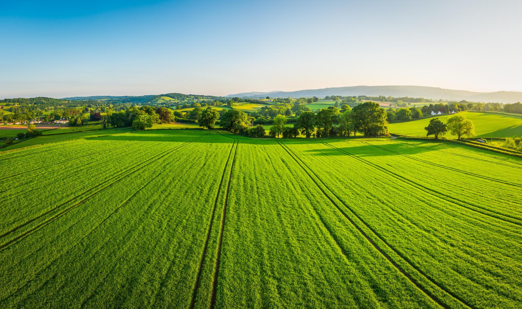 organic farm landscape