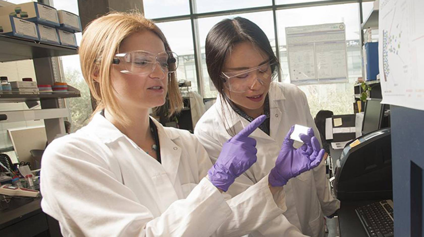 medical students laboratory nutrition experiment