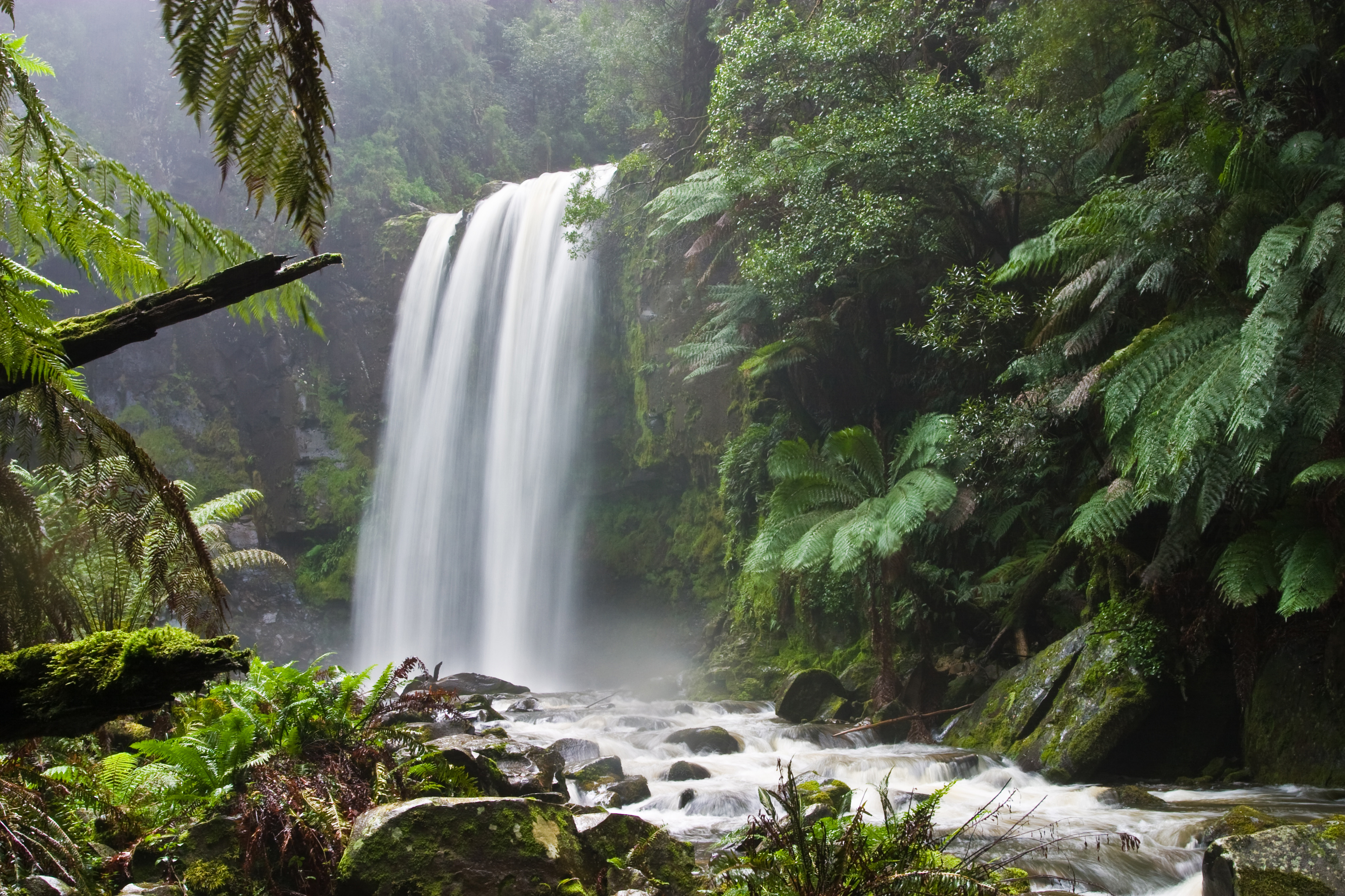 natural scenery environment