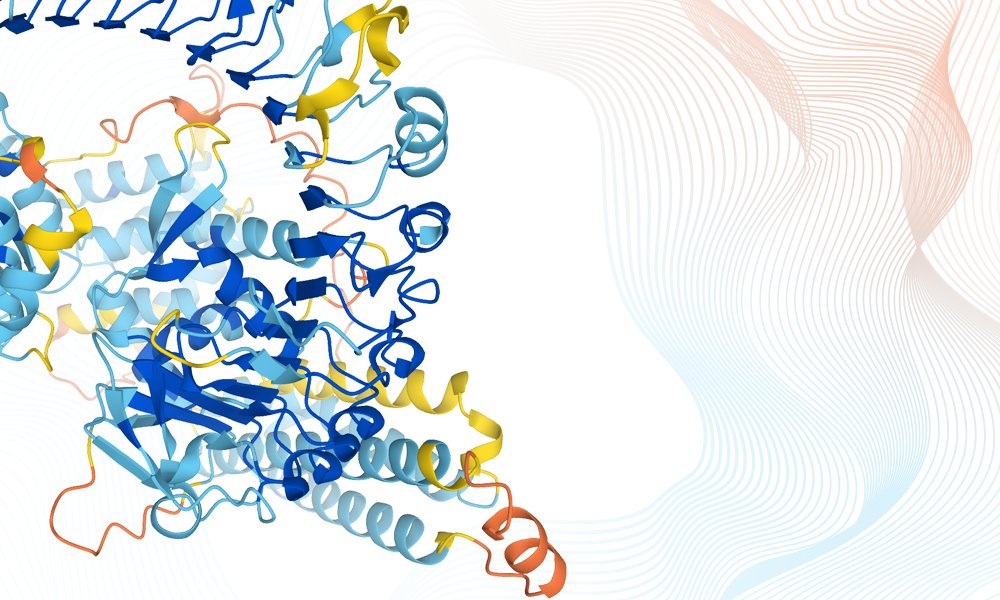 3D protein structure models