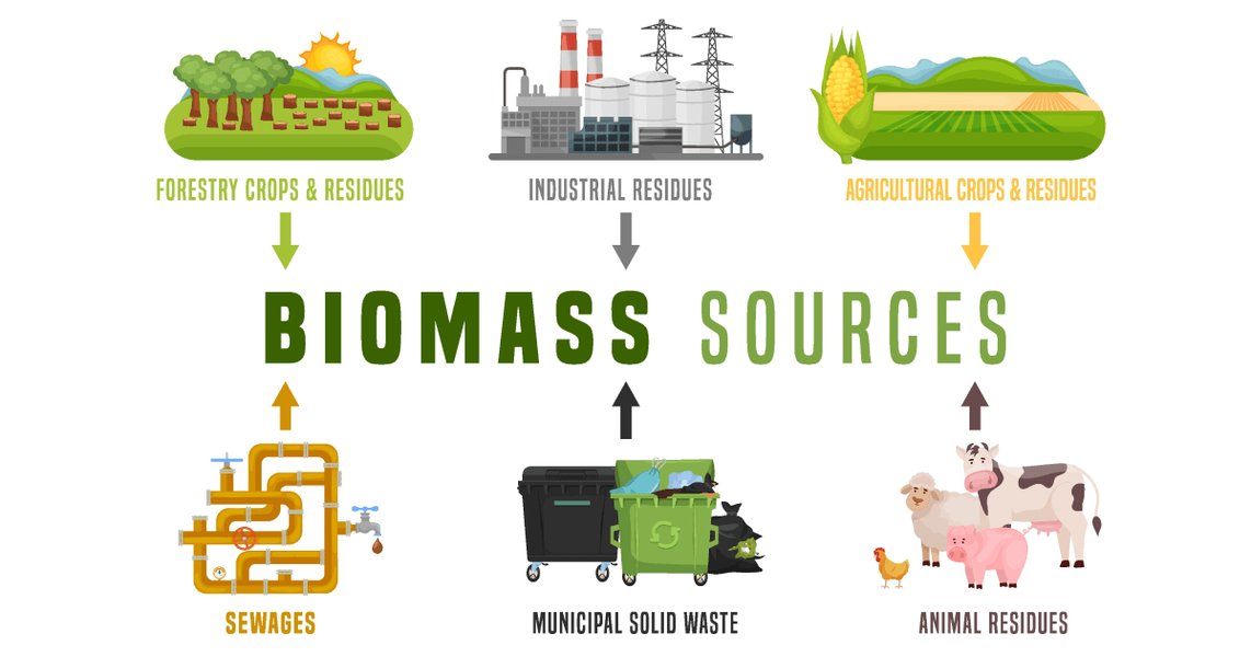 Infographic illustrating the biomass energy cycle from plant growth to energy production.