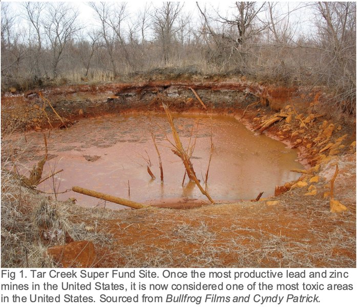 Bioremediation at Toxic Waste Sites