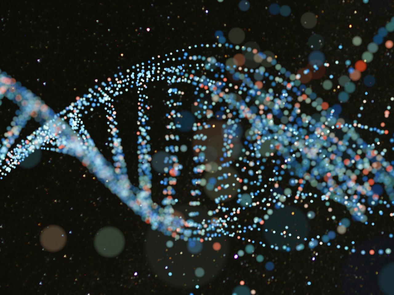 DNA spiral and cosmic stars