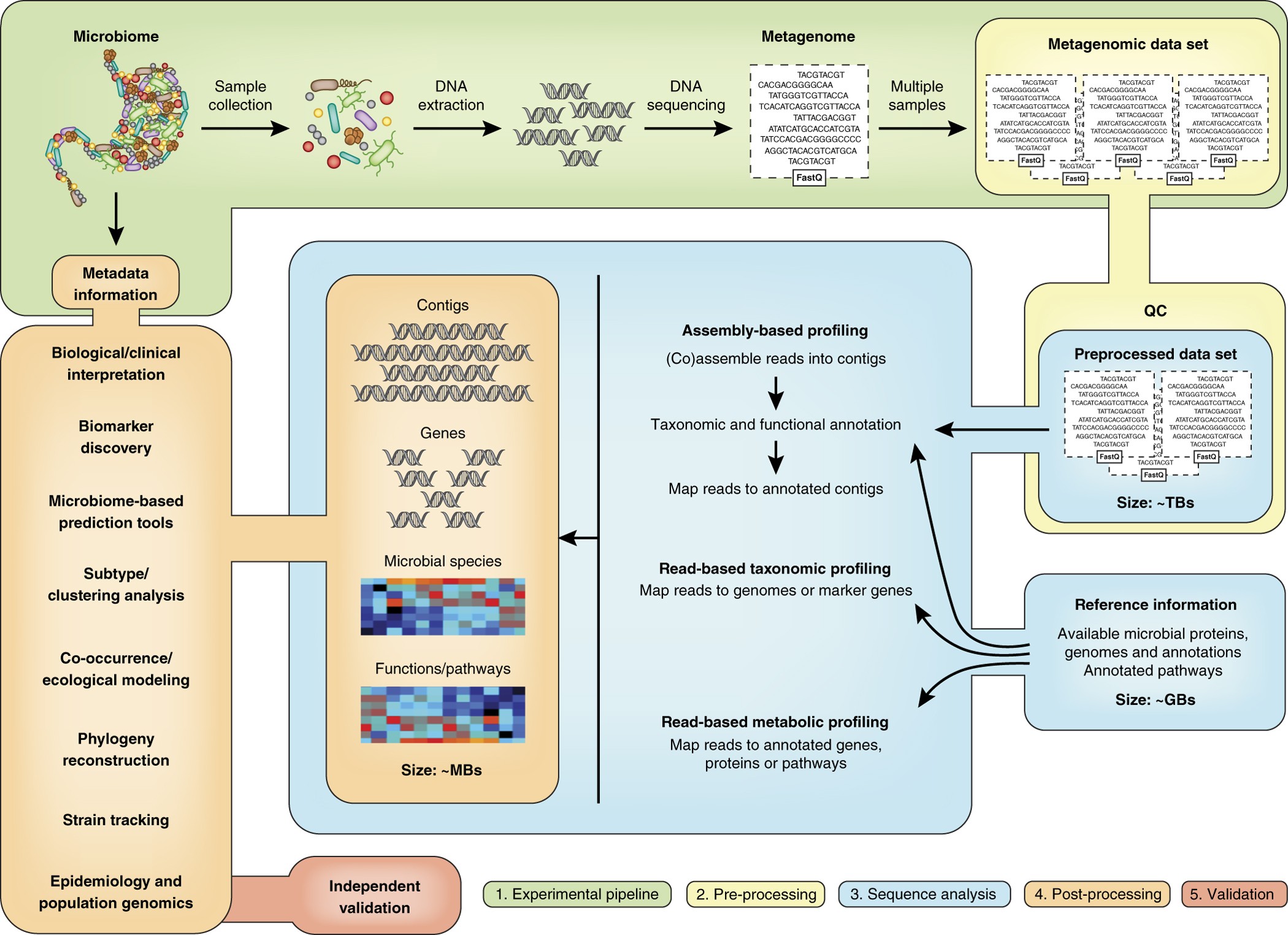 metagenomics lab equipment and field collection setup