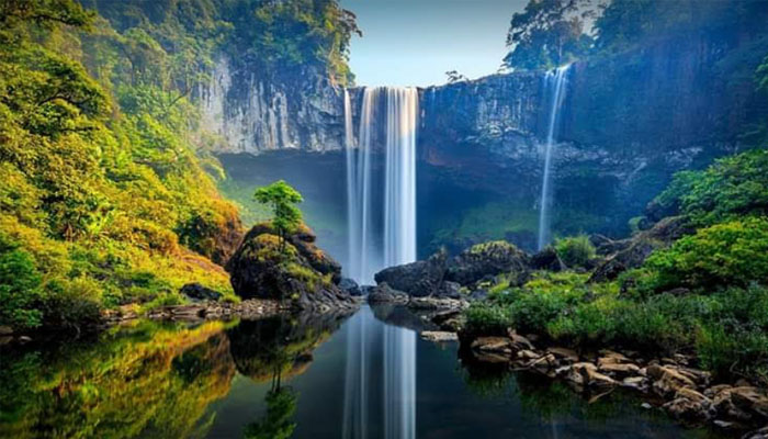 landscape with diverse ecosystems and natural photography