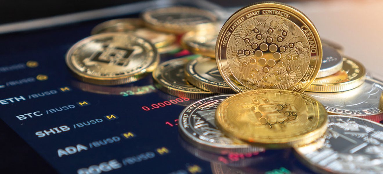bitcoin-bezit-nederland-0th8e0zu