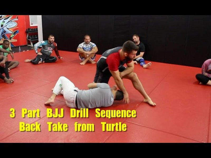 BJJ practitioners in turtle position, with one attempting a back take