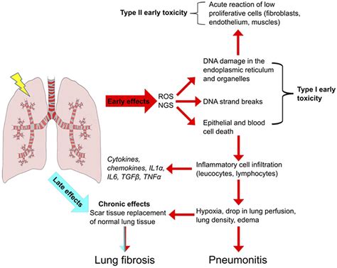 lung scene oxygen treatment