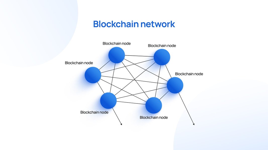 blockchain network nodes